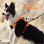Dog Harness Manufacturer - Anti-rush Reflective Soft Padded