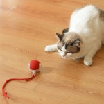 Smart Cat Toy Manufacturer - Electric Ball Interactive Movement