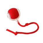 Smart Cat Toy Manufacturer - Electric Ball Interactive Movement