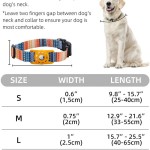 Pet Safety Collar Manufacturer - Apple Tracker Holder