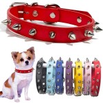 Leather Dog Collar Factory - Solid Button Closure Rivet