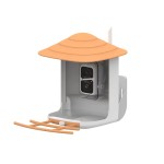 Bird House Supplier - Solar System Window Suction