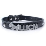 Cat Collar Supplier - PU Material Bling Crystal Buckle