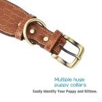 Leather Dog Collar Supplier - Crocodile-pattern Outdoor