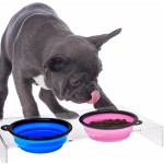 Pet Collapsible Bowl Manufacturer - Portable Feeding Travel