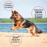 Salmon Oil for Dogs Factory - Human Grade Nutritional