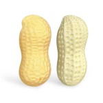 Dog Squeak Toy Supplier - Colorful Turtle Peanut Chew