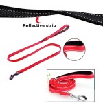 Dog Leash Supplier - Nylon Training Reflective Durable