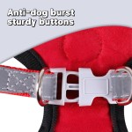 Dog Harness Supplier - Soft Mesh Puppy Outdoor Walking