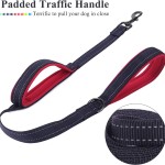 Dog Leash Supplier - Nylon Training Reflective Durable