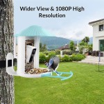 Bird House Supplier - Solar System Window Suction