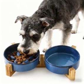 Ceramic Dog Bowl Supplier - Slow Eating Non-slip Bamboo
