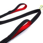 Dog Leash Supplier - Nylon Training Reflective Durable