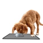 Pet Feeding Mat Manufacturer - Silicone Paw Pattern Style