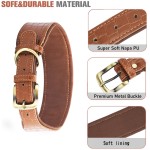 Leather Dog Collar Supplier - Crocodile-pattern Outdoor