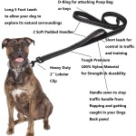 Dog Leash Supplier - Nylon Training Reflective Durable