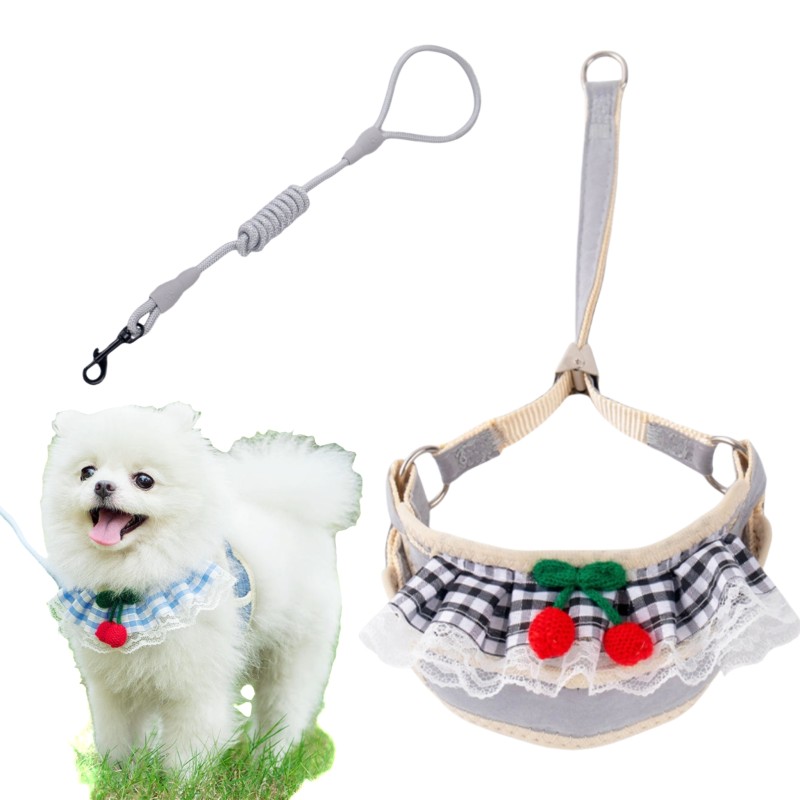 Dog Harness Set Manufacturer - 4 Colors Bra Tethering