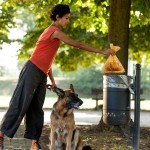 Dog Waste Bags Supplier - Plastic Disposable Pet Garbage