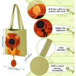Pet Shoulder Bag Supplier - Lion Shaped Portable