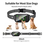 Anti Bark Collar Supplier - Waterproof AI Intelligent