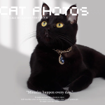 Pet Necklace Supplier - Gemstone Heart Shape Bling