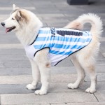 Pet Clothing Manufacturer - Spring Summer T-shirt Football