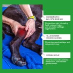 Dog Joint Supplement Supplier - Glucosamine Cartilage
