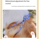 Dog Harness Set Supplier - 5 Colors Vest Leash