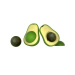 Catnip Wall Toy Manufacturer - Rotatable Avocado Safe Chew