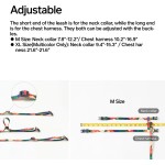 Cat Harness Set Factory - Escape Proof Adjustable Kitten