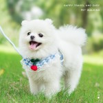 Dog Harness Set Manufacturer - 4 Colors Bra Tethering