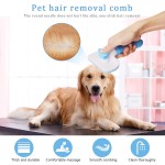 Pet Hair Removal Brush Manufacturer - Long Hair Grooming Bath