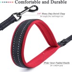 Dog Leash Supplier - Nylon Training Reflective Durable