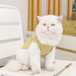 Dog Cooling Vest Manufacturer - Breathable Fabric Custom