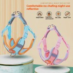 Dog Harness Supplier - Soft Mesh Puppy Outdoor Walking