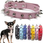 Leather Dog Collar Factory - Solid Button Closure Rivet
