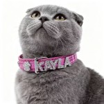 Cat Collar Supplier - PU Material Bling Crystal Buckle
