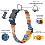 Pet Safety Collar Manufacturer - Apple Tracker Holder