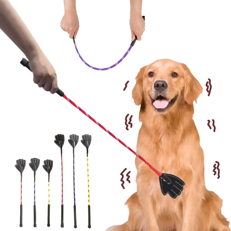 Pet Training Whip Supplier - Anti Slip Handle Correction