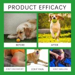 Dog Joint Supplement Supplier - Glucosamine Cartilage