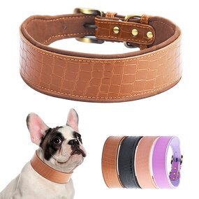 Leather Dog Collar Supplier - Crocodile-pattern Outdoor