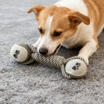 Dog Chew Toys Supplier - Dumbbell Cotton Rope Tennis