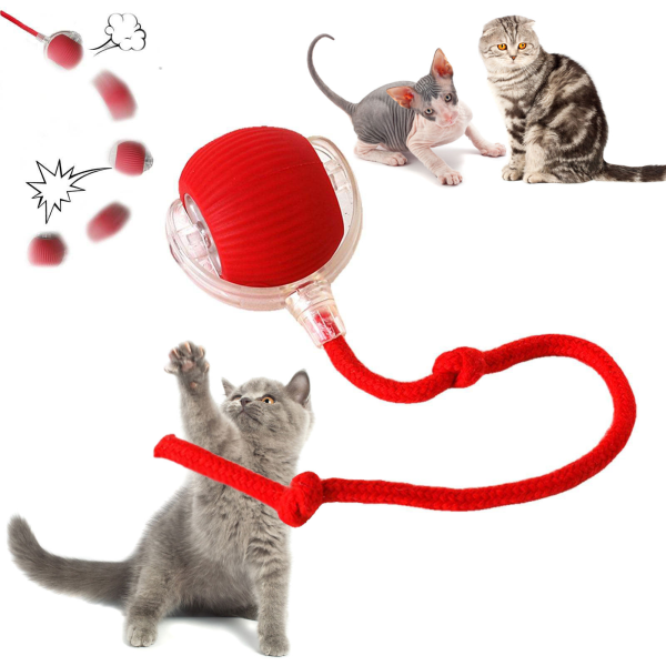 Smart Cat Toy Manufacturer - Electric Ball Interactive Movement