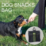 Dog Treat Pouch Supplier - Training Snack Reward Self-Closing