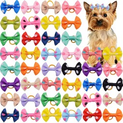 Pet Headwear Supplier - Colored Dots Ribbed Belt
