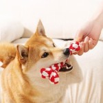Cotton Rope Toy Manufacturer - Bone Shape Interactive Pet