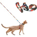 Cat Harness Set Factory - Escape Proof Adjustable Kitten