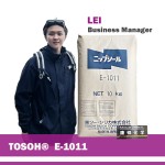 Matting Agent Manufacturer - E-1011 Silicon Dioxide for Coatings Inks