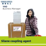 Silane Coupling Agent Supplier - KH560 A187 Z6040 Crosslinker CAS