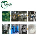 Bread Preservative Supplier - Antiseptic Flavor Dual Function